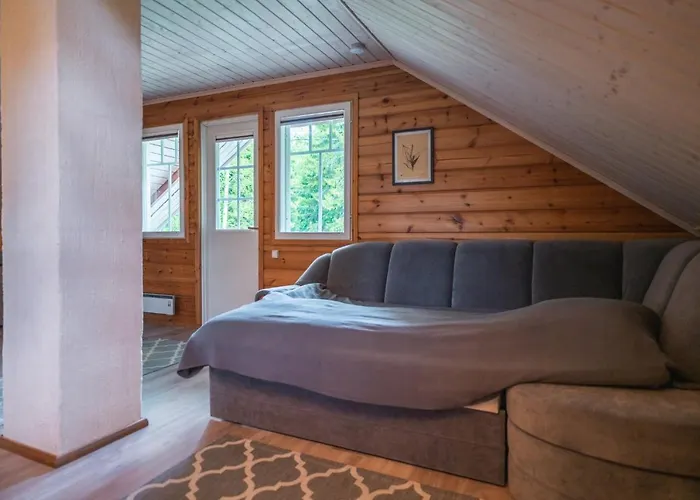 Iisland Uoma Lovely House And Sauna By The River 木屋