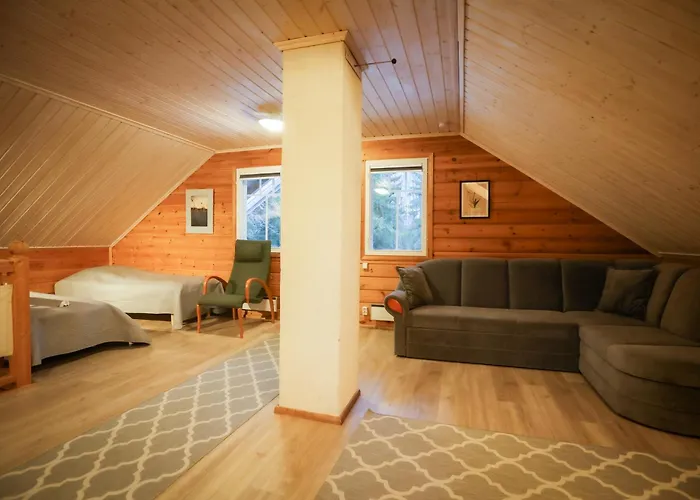 Iisland Uoma Lovely House And Sauna By The River 木屋